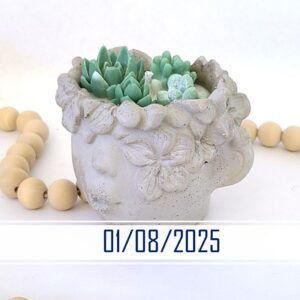 Succulent Kisses - Candle workshop -soy candle