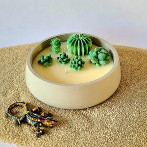 Soy candle Succulent