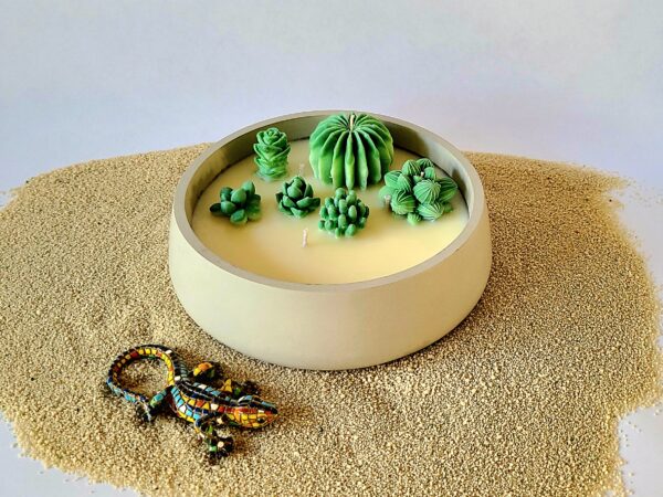Soy candle Succulent