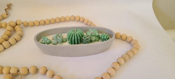 Succulent soy candle