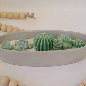 Succulent soy candle