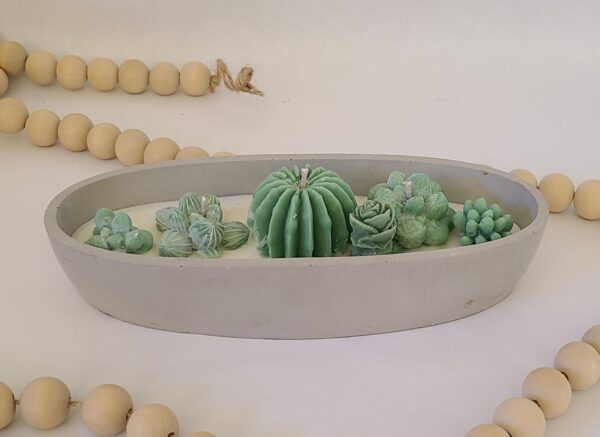 Succulent soy candle