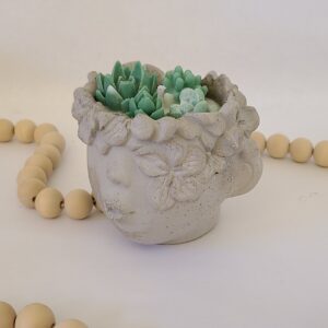 Succulent Kisses