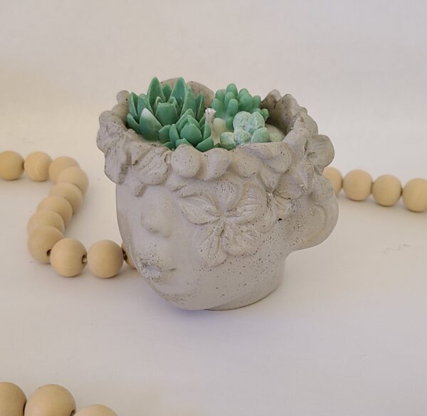 Succulent Kisses