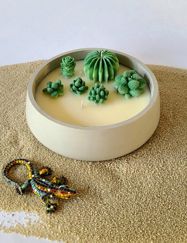 Citronella cactus candle 100% soy